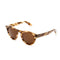 Bold Brushfield Sunglasses Horn Brown-sunglasses-Clutch Cafe