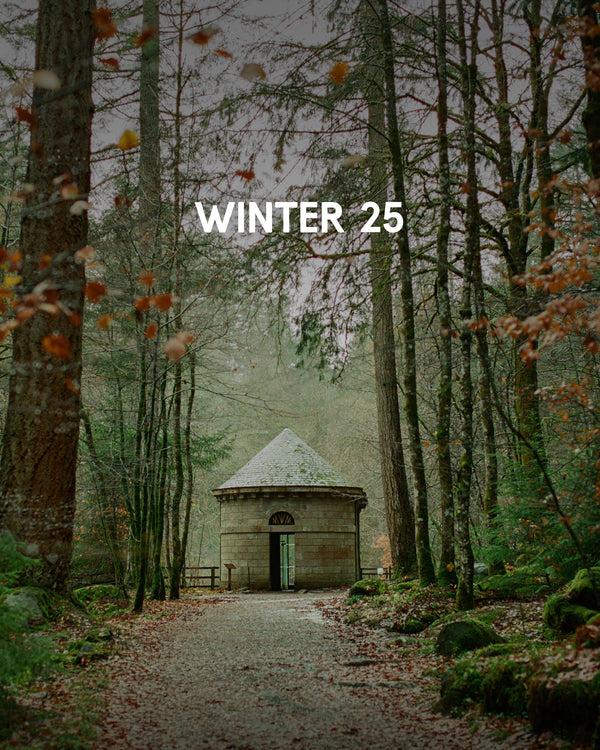 Winter Lookbook 2025