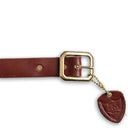 HTC Belt End Only 25 Turquoise LG 1.25 Brown/Brass-Belt-Clutch Cafe