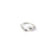 First Arrows Silver Fur Store Rolling Ring R-067-Jewellery-Clutch Cafe